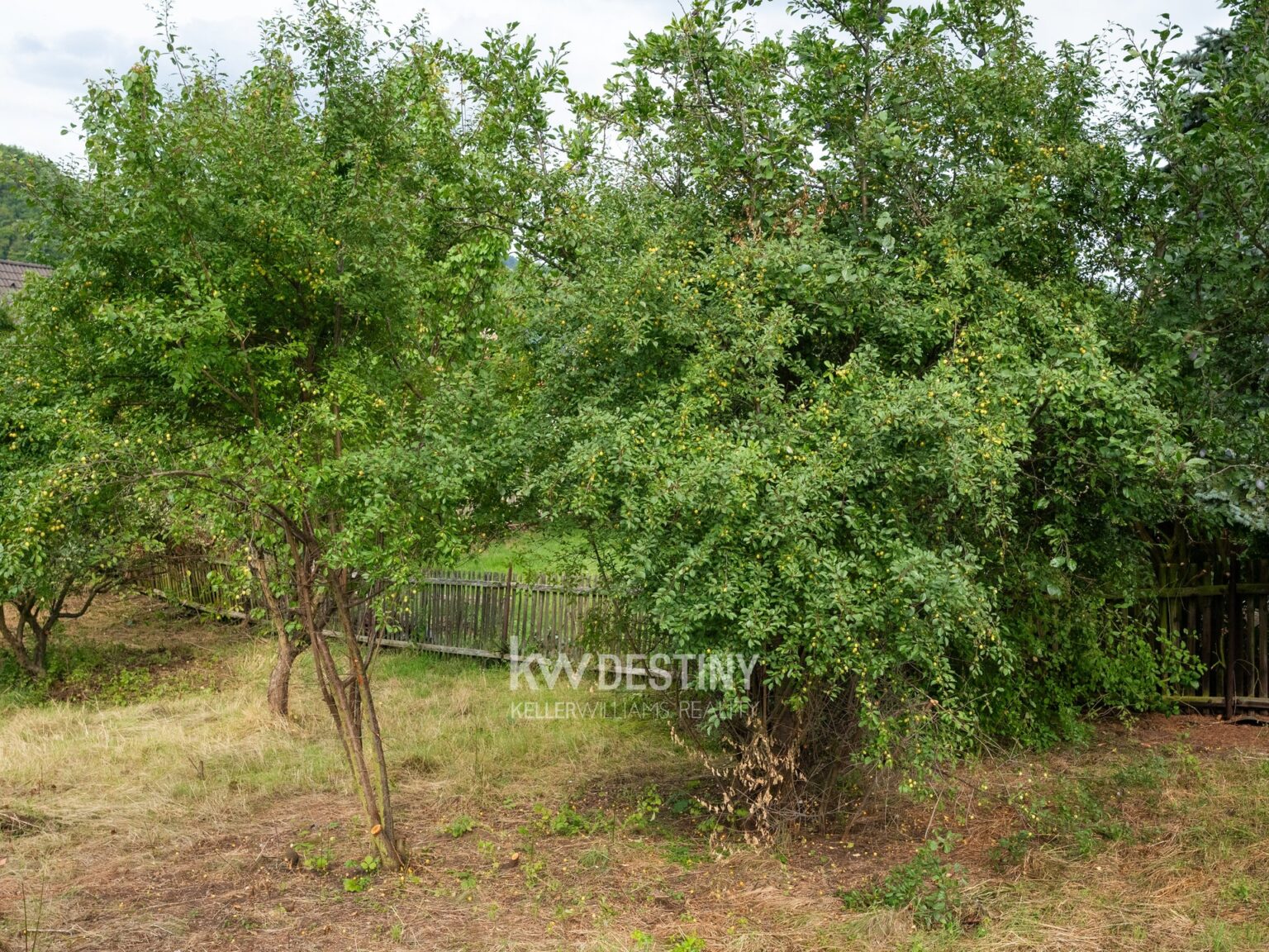 prodej-zahrady-423-m2-s-moznosti-vystavby-ohnic-okr-teplice-dsc-7805-711e0f