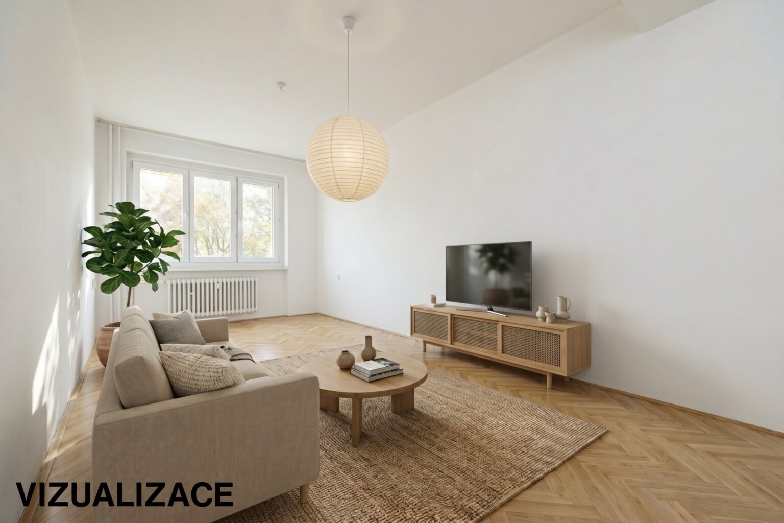 HC1A3134 VIZUALIZACE